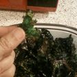 Chips o Snack de col (col rozada, kale)