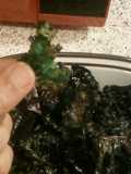 Chips o Snack de col (col rozada, kale)