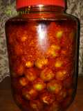 Gunda Keri Pickle