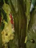 (24) Pepes Ayam Suwir