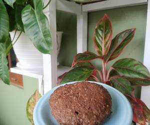 Resep Mudah Bolu Pisang Cokelat Tanpa Tepung Hari Ini Resep Mudah Bolu Pisang Cokelat Tanpa Tepung Hari Ini