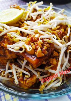 Foto resep Tahu Kacang Probowangi