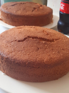 A picture of Plain vanilla sponge cake.
