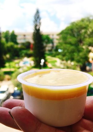 Hình của món Panna cotta xoài.