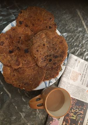દૂધીના થેપલા (Dudhi Thepla Recipe In Gujarati) રેસીપી મુખ્ય ફોટો