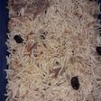 Nasi Kebuli Brasmati