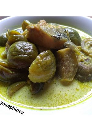 Foto resep Gulai Terong ala Ephine