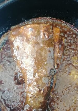 عکسی از دستور ماهی شکم پر شمالی