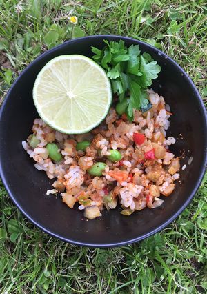 A picture of Vegan Firecracker Rice #eattherainbow.