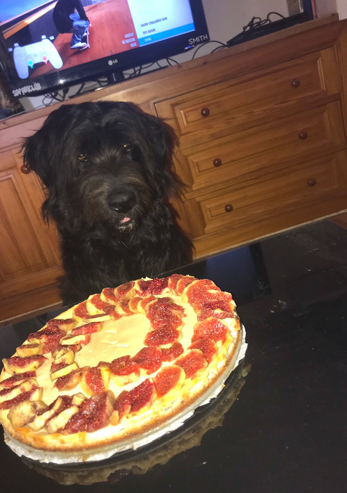 Una foto de Tarta de higos