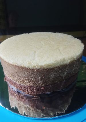 Foto resep Bolu Tiramisu Kukus