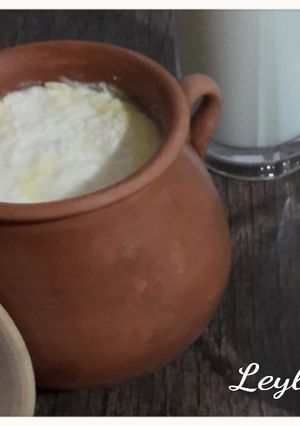 عکسی از دستور ماست خانگی
