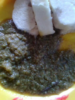 A picture of Turkey Berry stew.