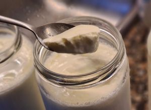 Una foto de Yogurt natural casero muy fácil