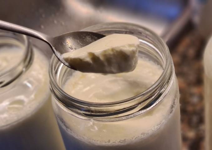 Yogurt natural casero muy fácil Receta de Viki (Virginia) Fourcade- Cookpad