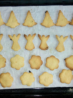 A picture of Sultanas and lemon flavored cookies.