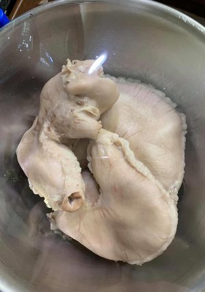 Hình của món Lòng, dạ dày luộc.