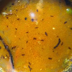 A picture of Mung dal with green peas.