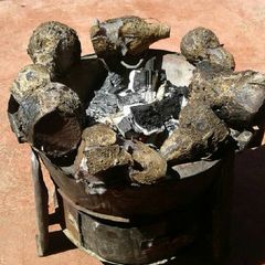 A picture of Roasted nduma (arrow roots).