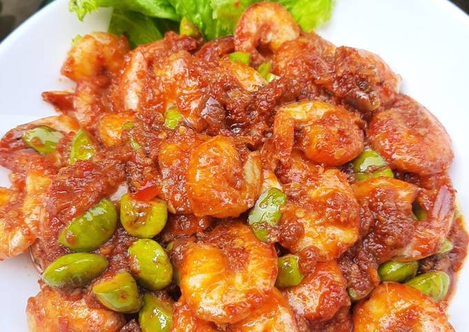 Ternyata begini lho! Resep gampang membuat Udang sambal petai hidangan Idul Fitri  spesial