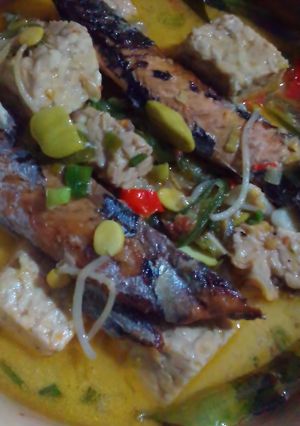 Foto resep Tempe dan tongkol masak santan