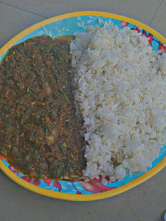 A picture of Rice and stew.