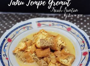 Foto resep TTG (Tahu Tempe Gremut) Kuah Santan