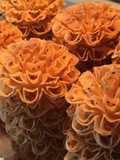 Thai Lotus Flower Cookies