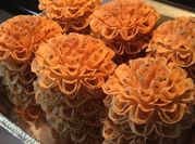 A picture of lotus seeds