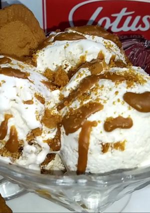 A picture of Lotus Biscoff Ice cream.