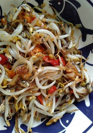 Foto resep Tumis taoge teri