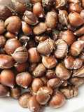 Castanhas assadas