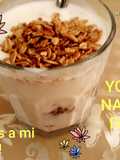 Como hacer yogurt natural con fresa fácil económico y rápido!!!