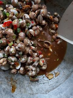 Foto resep Kerang dara saus tiram