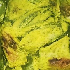 A picture of Katla Macher Paturi.