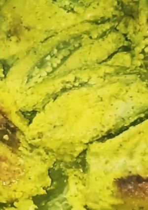 A picture of Katla Macher Paturi.