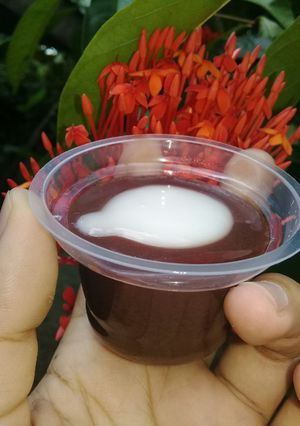 Foto resep Puding vlava (vla vanila)