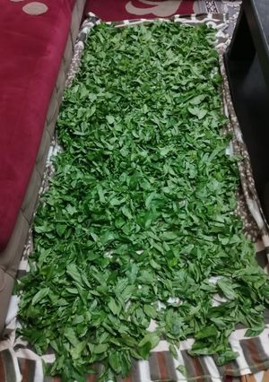 صورة لوصفة تفريز الملوخيه بدون سلق او طبخ