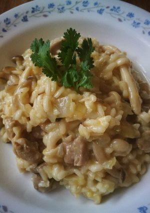 義大利雞肉野蕈燉飯 的食譜成品照片