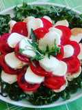 Alternative Caprese Salad