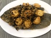 Gambar ikan tausi