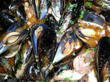 Mejillones y calamares con salsa de tomate