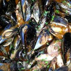 Foto principal de Mejillones y calamares con salsa de tomate