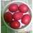 Telur Merah Ulang Tahun