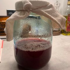 A picture of Sloe fruit soda.
