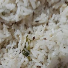 Jeera Rice (Cumin Seeds) A picture of Jeera Rice (Cumin Seeds).
