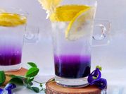 Gambar minuman bunga telang