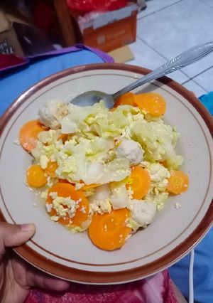 Foto resep Diet mayo Bakso Ayam Sayur