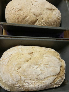 A picture of Bread.