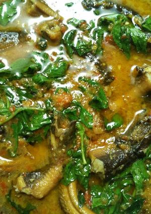 Foto resep Tumis Belut Kemangi